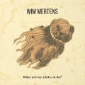 wim mertens - Shining hands