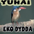 Eko Dydda、Allan - Beautifull People