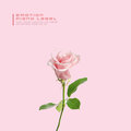 For You - 봄비가 내리면