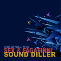 Sound Diller - Sex & Fagatinni