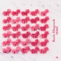 Gamble & Burke、Boris Dlugosch - Stronger (feat. Gamble & Burke)(Monte Remix)