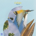 Mujo - Stepping Jazz