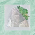 Mujo - Earth Fly
