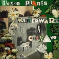 Walterwarm、CoryaYo - water = life