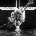 Woolymammoth、Holly - Bruno Mars