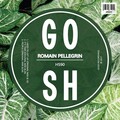 Romain Pellegrin - I Need To Get Up (Original Mix)