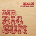 Stephanie McKay、Boca 45 - Mr Big Sun