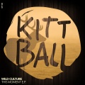 Wild Culture - This Moment (Original Mix)