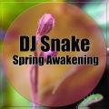 Spring Awakening