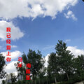 我已经爱上你