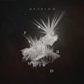 Avision - Free Your Mind