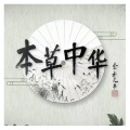 陈伟伦 - 本草中华 主题曲