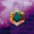 Indica - ¿Adónde Fue?