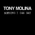 Nothing I Can Say