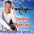 Андрей Оршуляк - Еду с юга на север