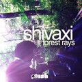 Shivaxi - Forest Rays