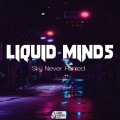 Liquid Minds - Dream World (Original Mix)(Remix)