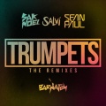 Trumpets (feat. Sean Paul)(Boxinbox & Lionsize Remix)