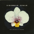 Chris Turner、Sidewalk Chalk - How
