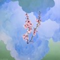 Ganther - Blossom