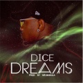 DICE - Dreams