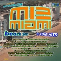 Dj Dennis Mann、Mattia Falchi - Guacamaya (Mattia Falchi Flute Mix)