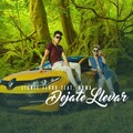 Lionel Ferro、Numa - Dejate Llevar