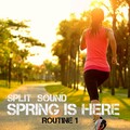 Split Sound - Said You