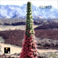 Yaro - Flower