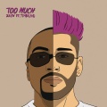 Too Much (Explicit)