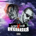 Yuri da Cunha、GaiaXCali - Doi Doi