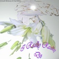 paul miller、Shelamay - I Really Really Do