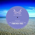 Deep Factory、Junior Hallex、Mary Tozzo - Forever Free feat. Mary Tozzo, Junior Hallex (Aliquam Erat Intro)
