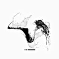 Thomas Rossetti - Feel That (Original Mix)