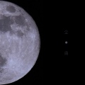 榴莲火 - 尘曲