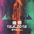 二手 - 给你 (暴风雨REMIX)
