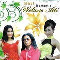 ZAKI - Sak Genggem Uyah