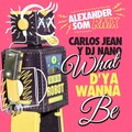 Carlos Jean、DJ Nano - What D'ya Wanna Be (Alexander Som Remix)
