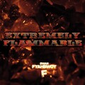 Fyahbwoy、Twins of Twins - This Way