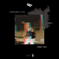 ARMNHMR、YDG - Need You