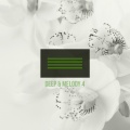 Steff Corner - Modern Advice (Original Mix)