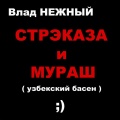 Влад Нежный - Стрэказа и Мураш. Узбекский басен
