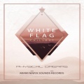 Physical Dreams - White Flag