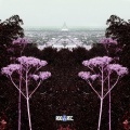 TIS - The Wait