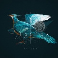 ryuryu - Birthday
