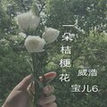 宝儿6、威浩 - 一朵桔梗花