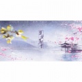湾丸晚万 - 棠梨煎雪