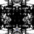 TIS - Ask the Dust 02
