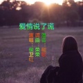 侯卫红 - 爱情说了谎