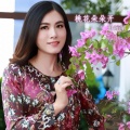 叶海旋 - 桃花朵朵开